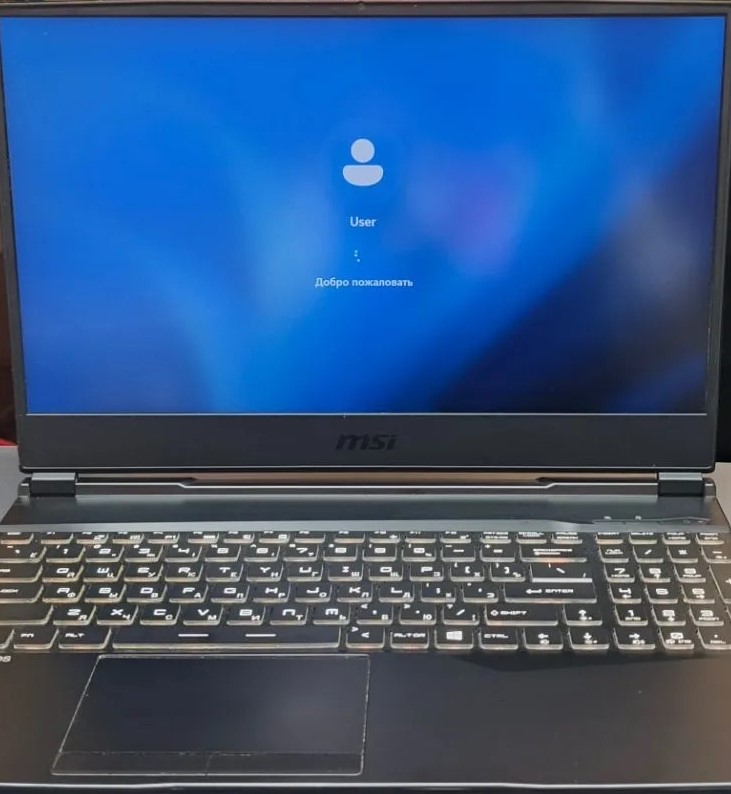 Ноутбук MSI GL65 Leopard 10SDK-405XRU черный 15,6"-1