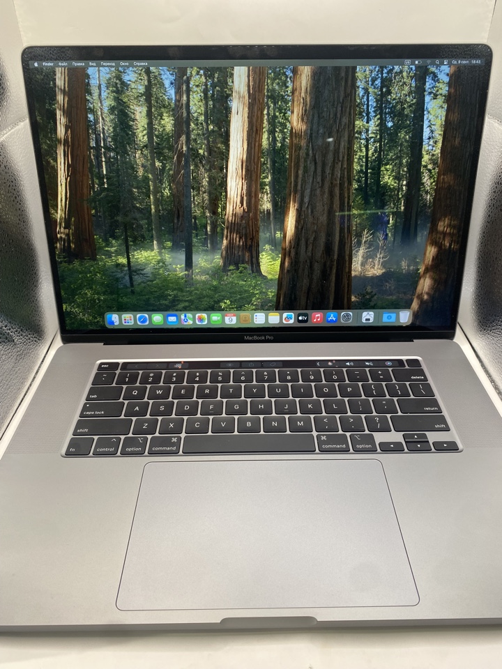 Ноутбук Apple MacBook Pro 16" (2019), Intel Core i9, 64 ГБ ОЗУ, 1 ТБ SSD, Space Gray-1
